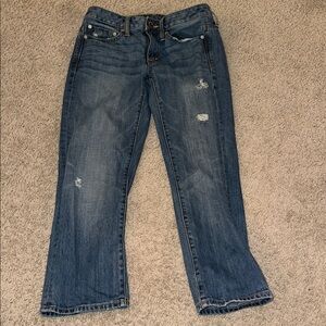 American Eagle Outfitters Classic Blue Denim Jeans